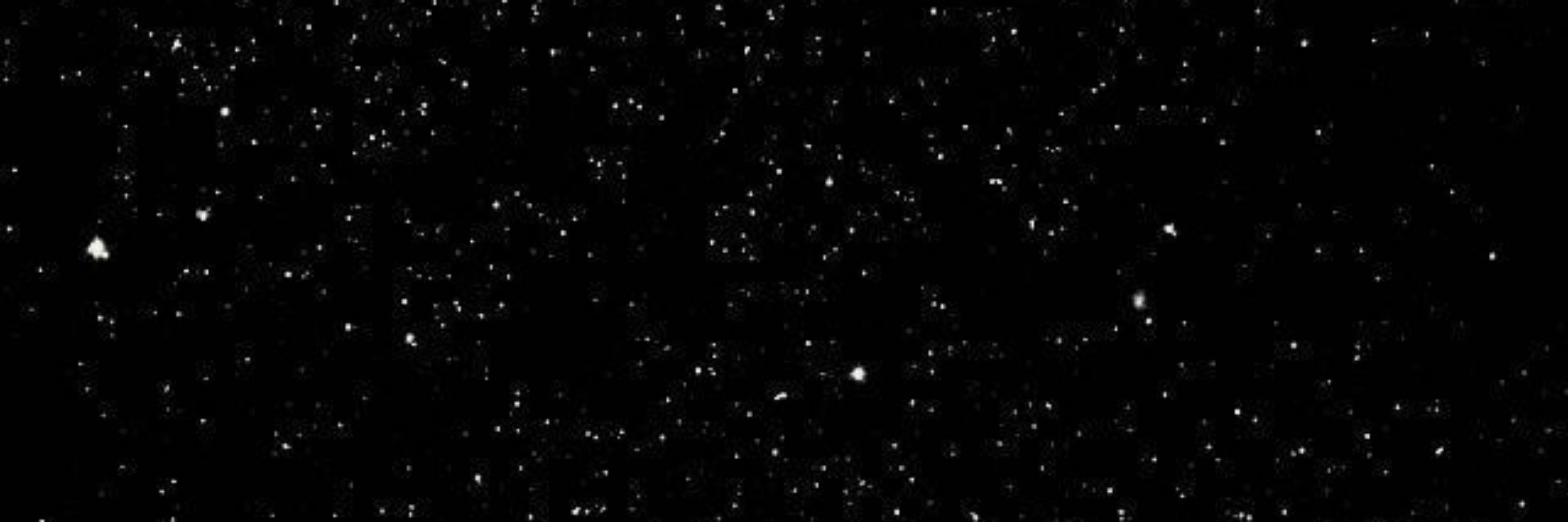 ⋆｡°✩ɴᴇᴘʜᴀʟᴇᴍ_ᴅᴀ✩°｡⋆