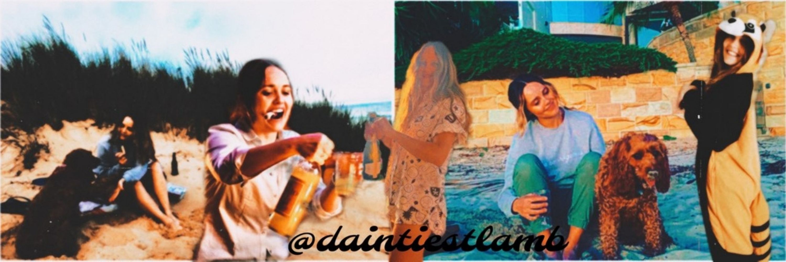 ミ☆ Dani
