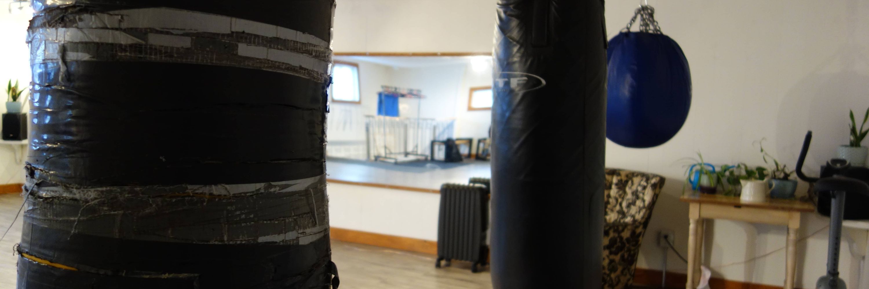Club de boxe Chat bleu