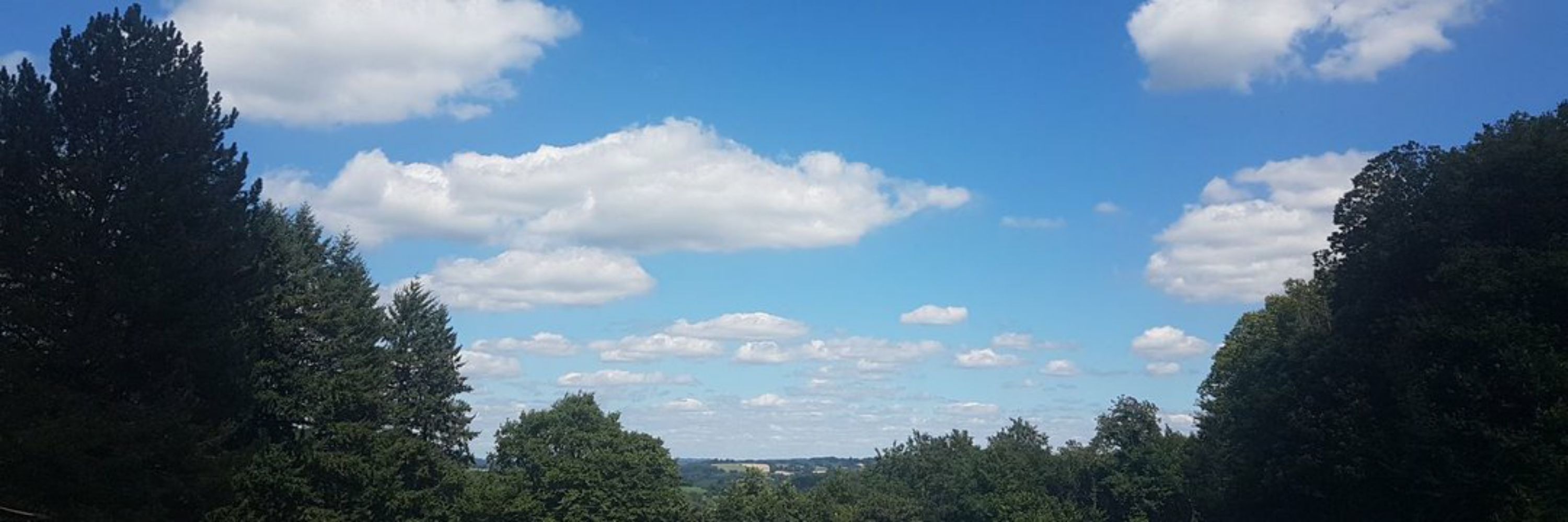 Maurgane