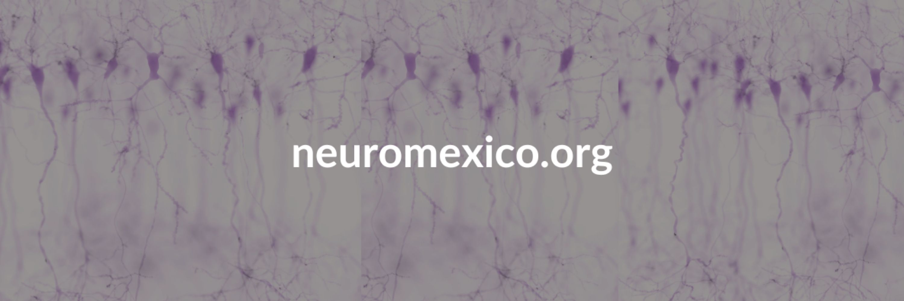 NeuroMéxico