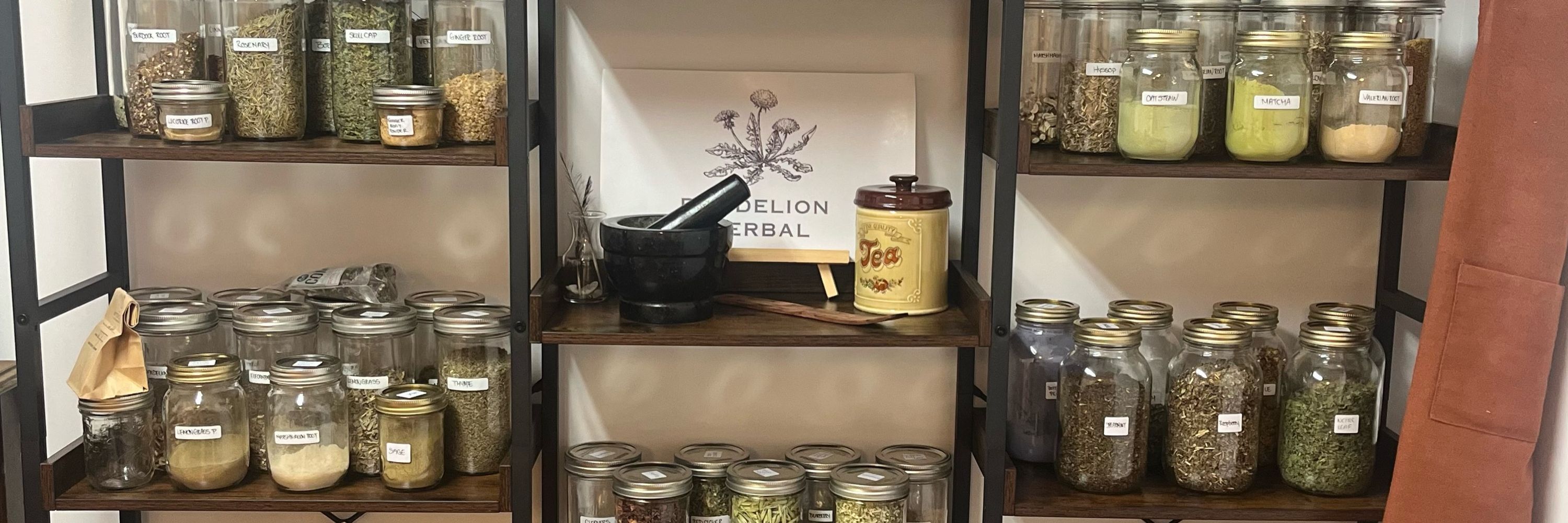 Dandelion Herbal