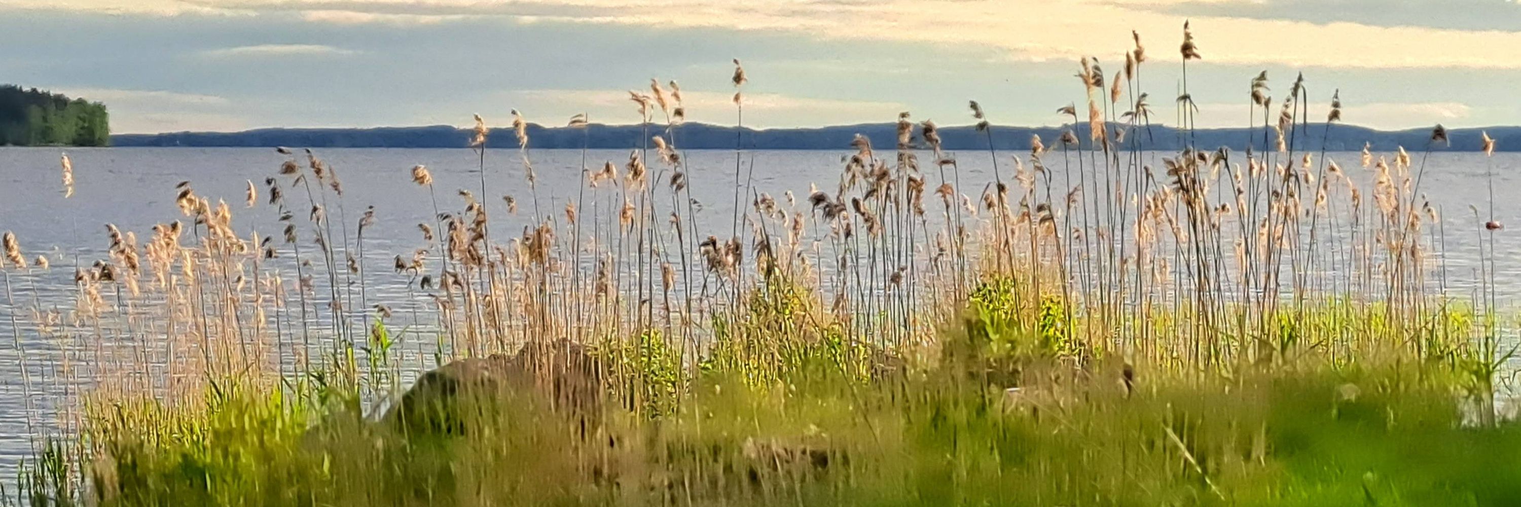 Meri Mononen-Matias