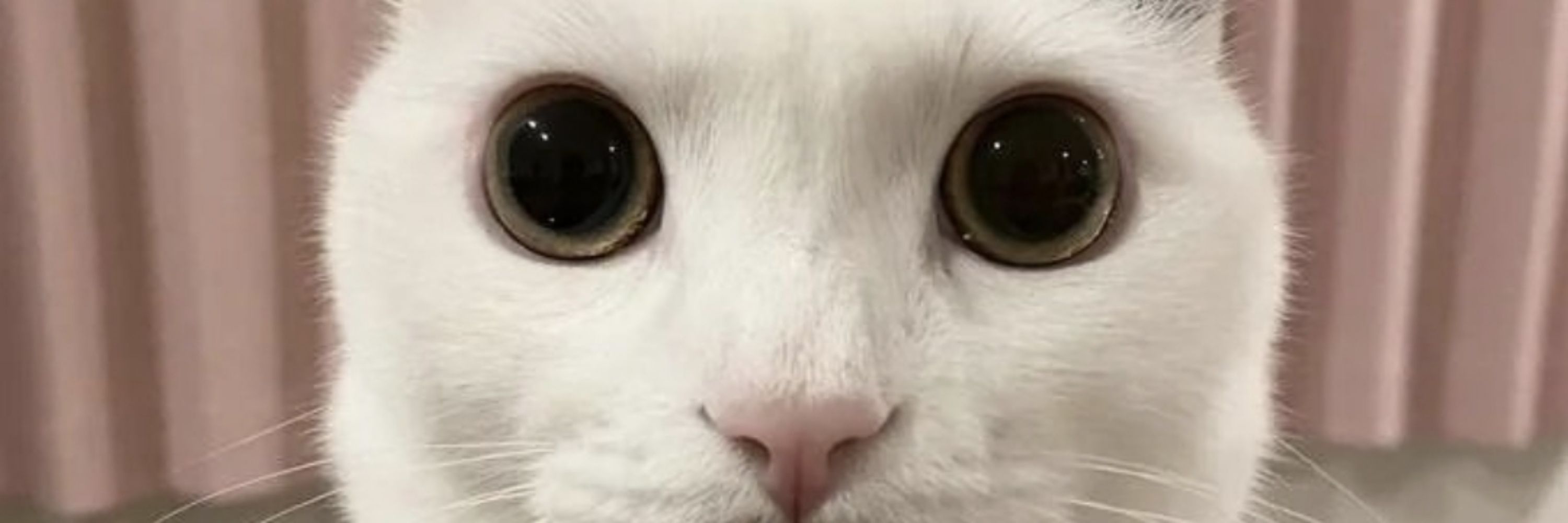 Q_0