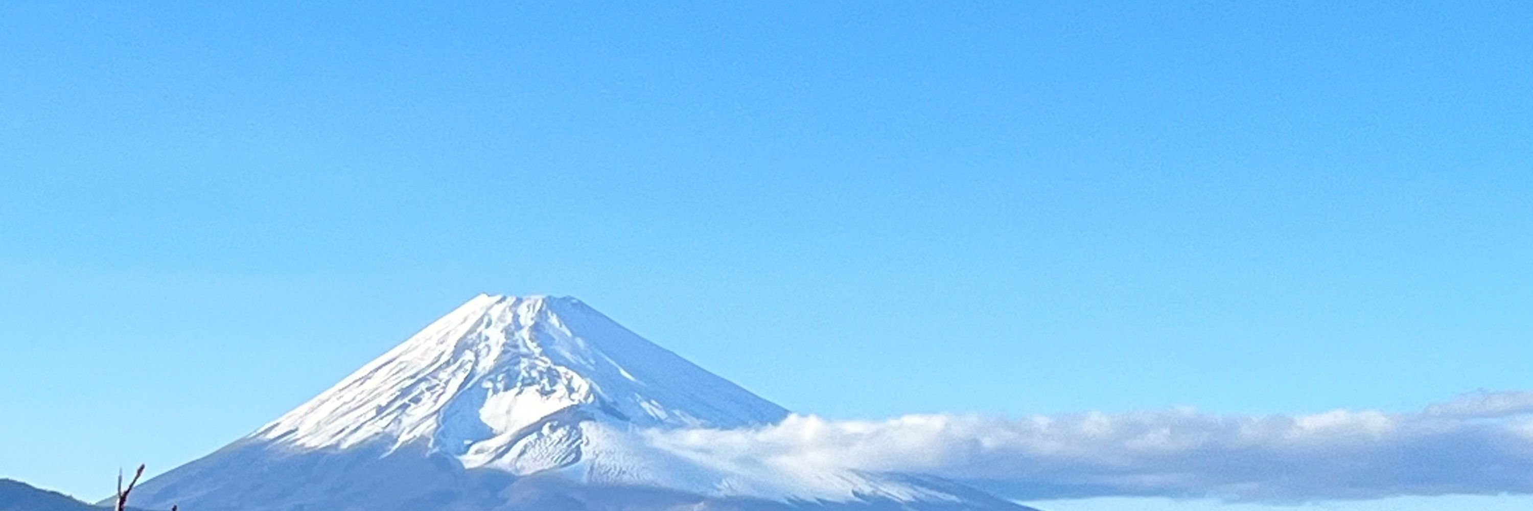 マツカサ太郎