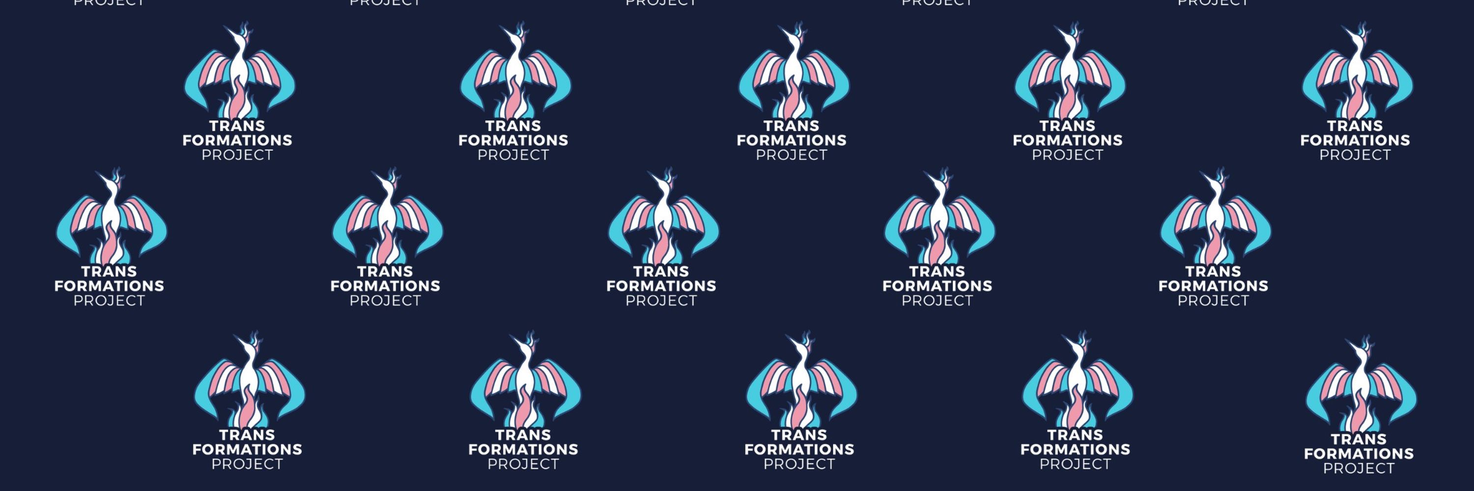 Trans Formations Project