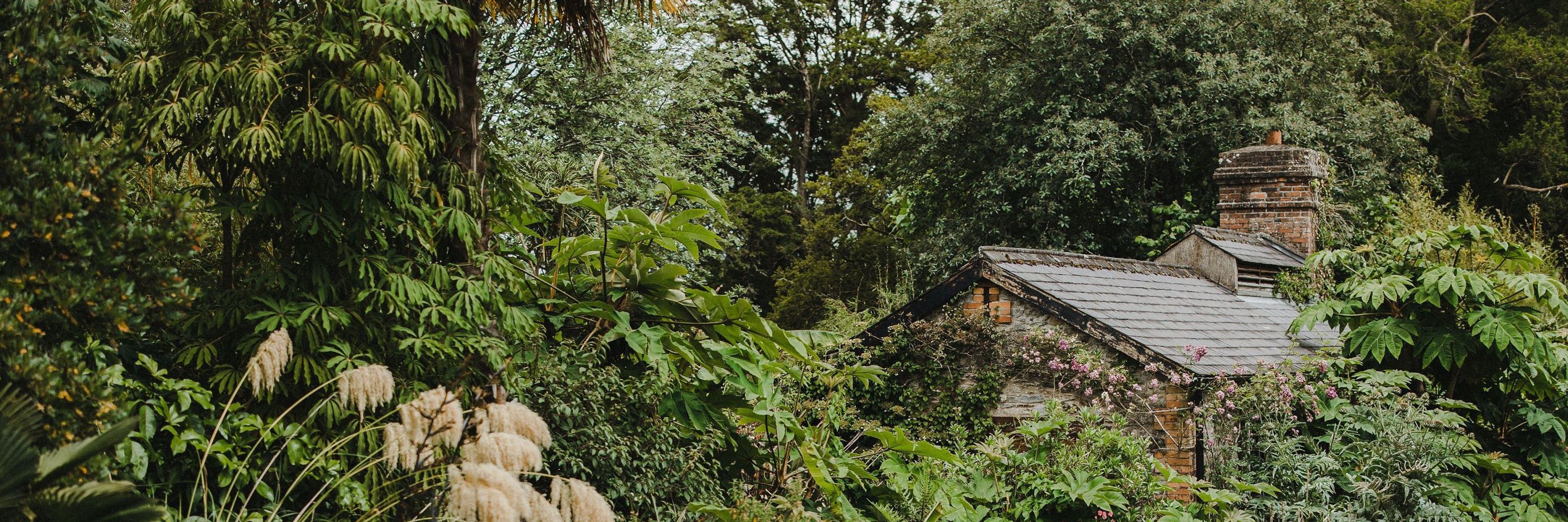 헤아🌿