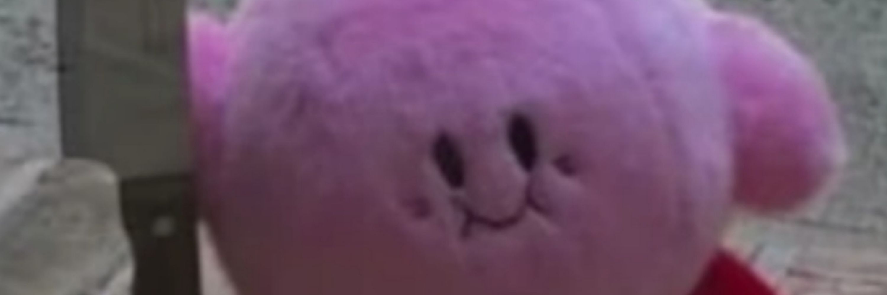 ✨️Fluffydonna✨️