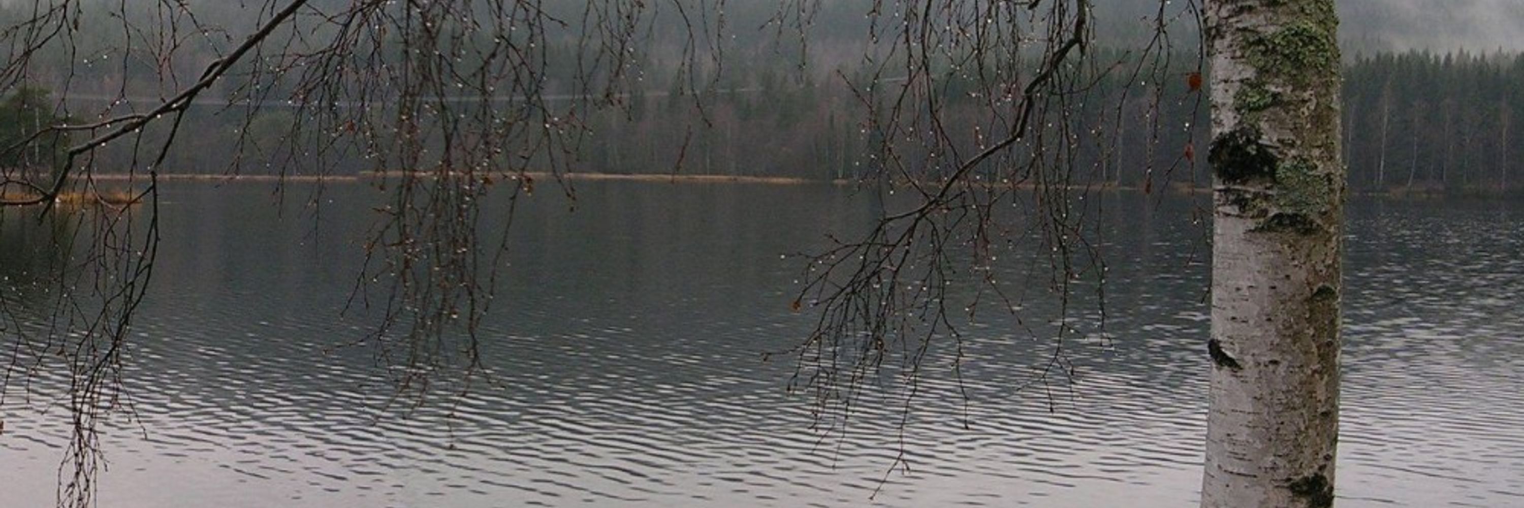 Cqoicebordel