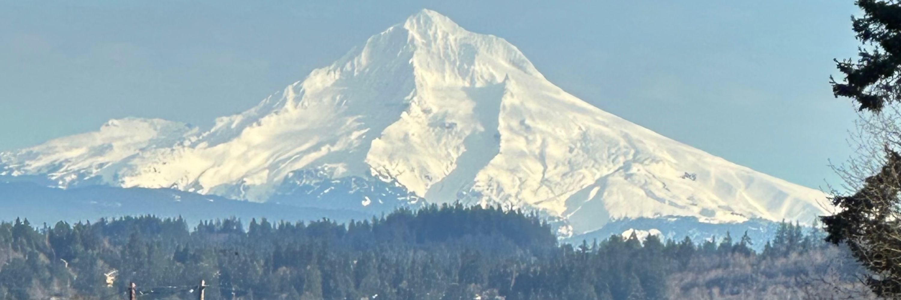 PNWlovinghuman