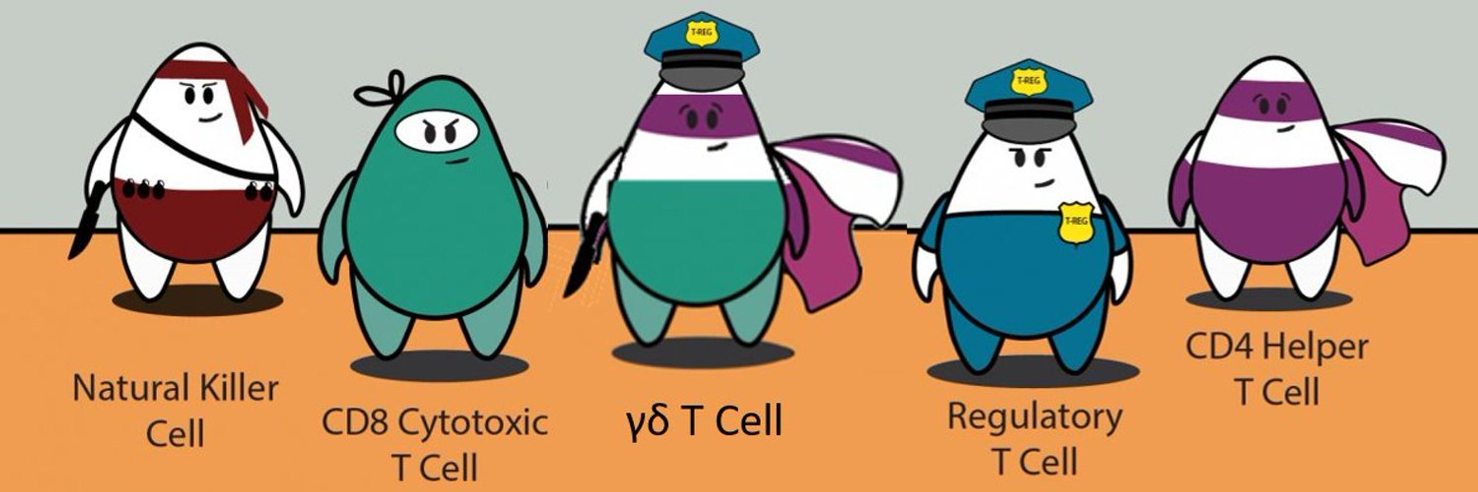 γδ T cell Forum