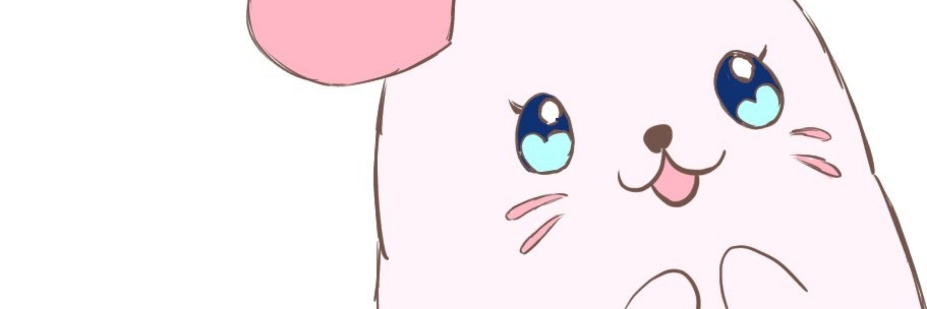 すぬこ