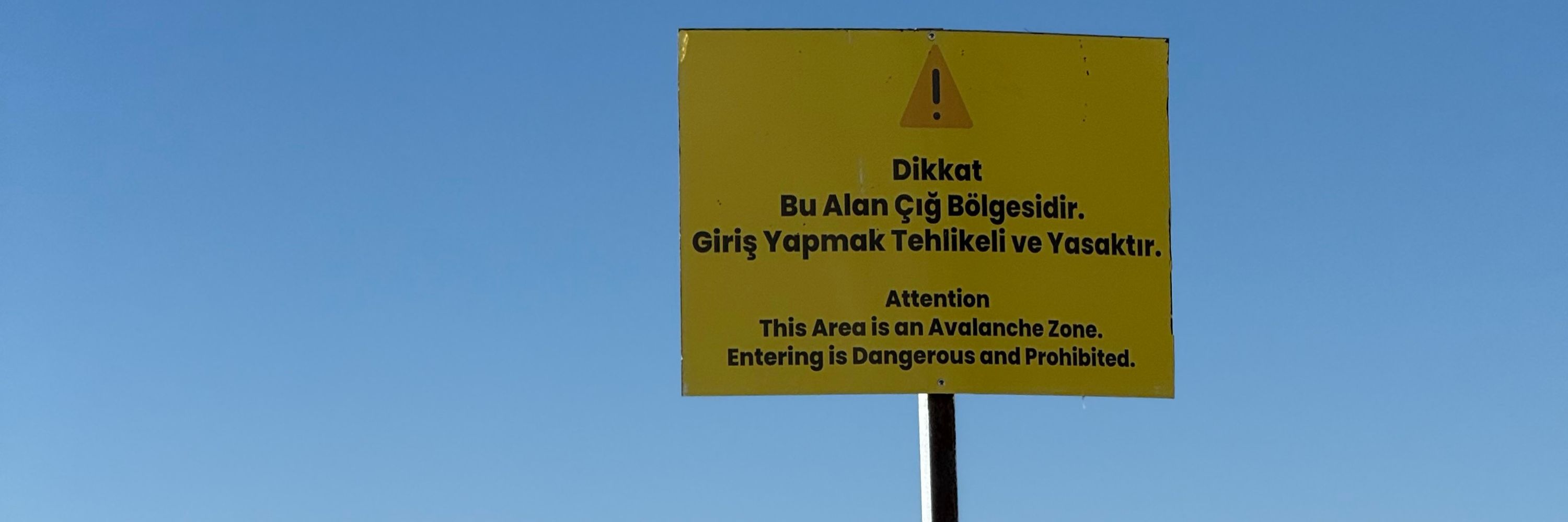 Zeynep Nur Ayanoğlu