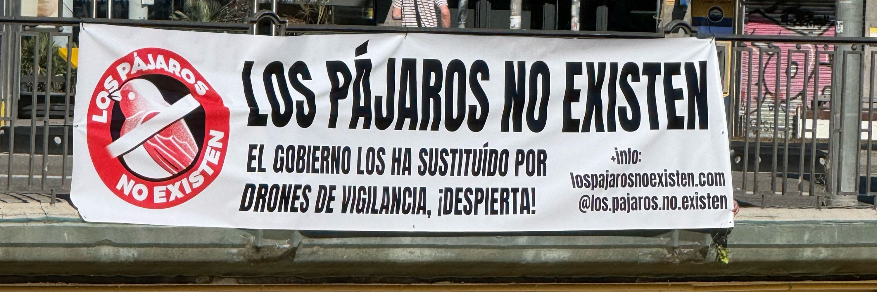 Los Pájaros No Existen