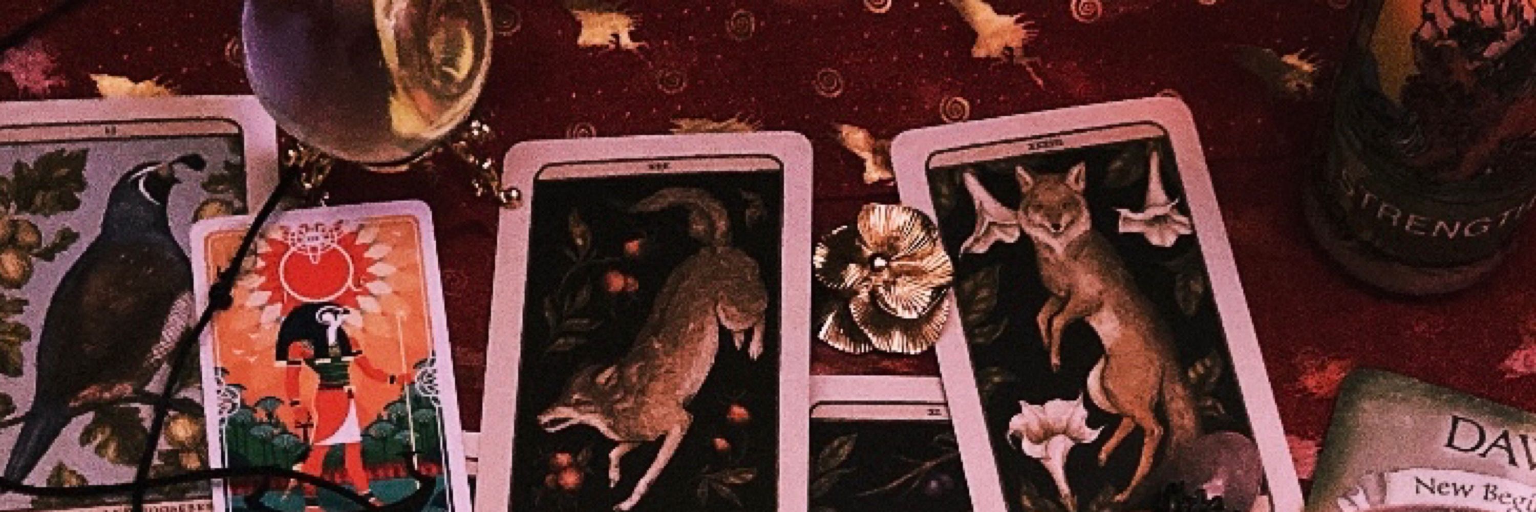 Ciel Tarot 🌙