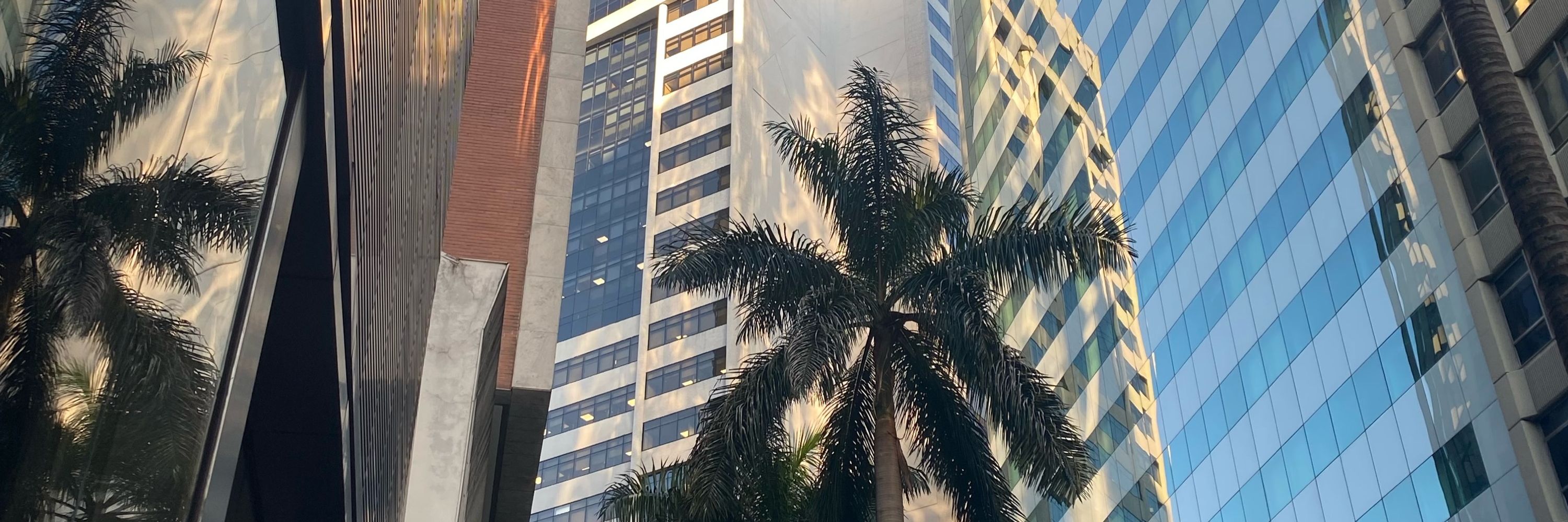 odara ✨