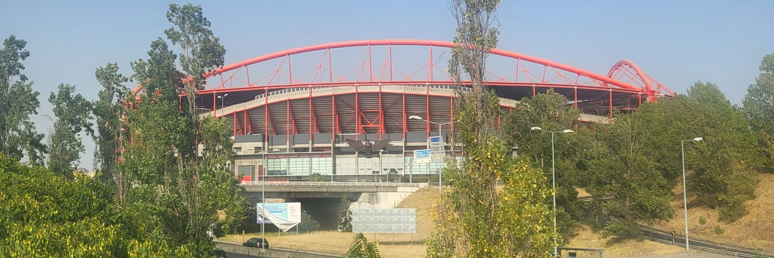 Benfica Glorioso 🔴⚪