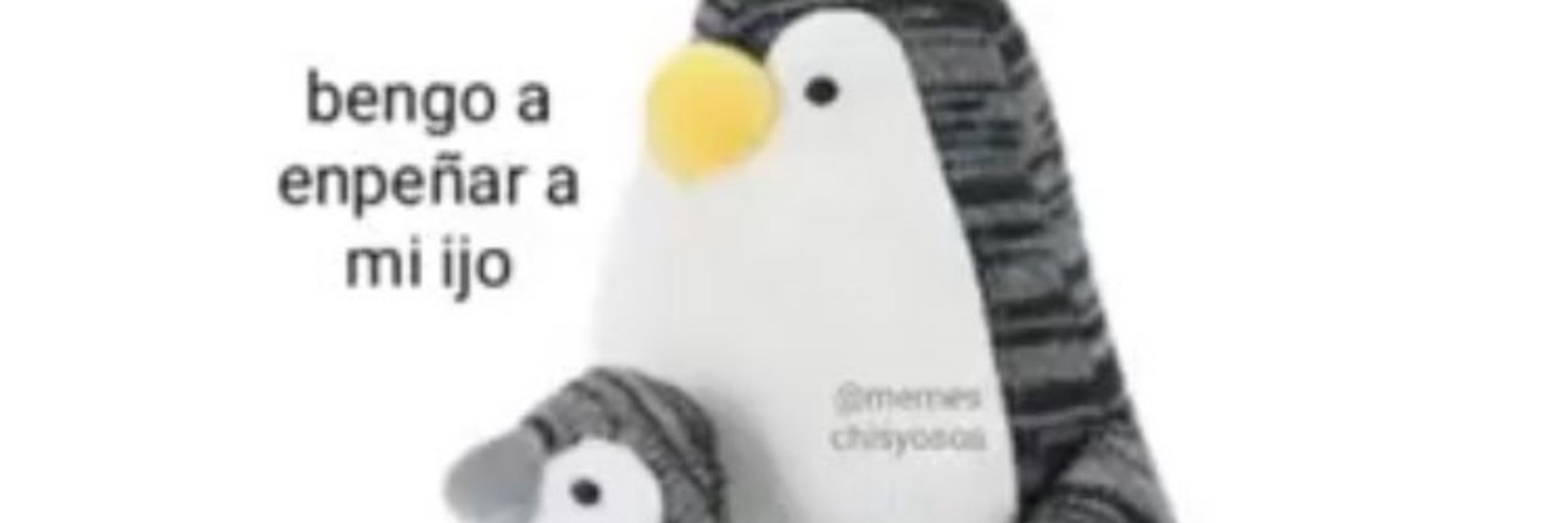 DS