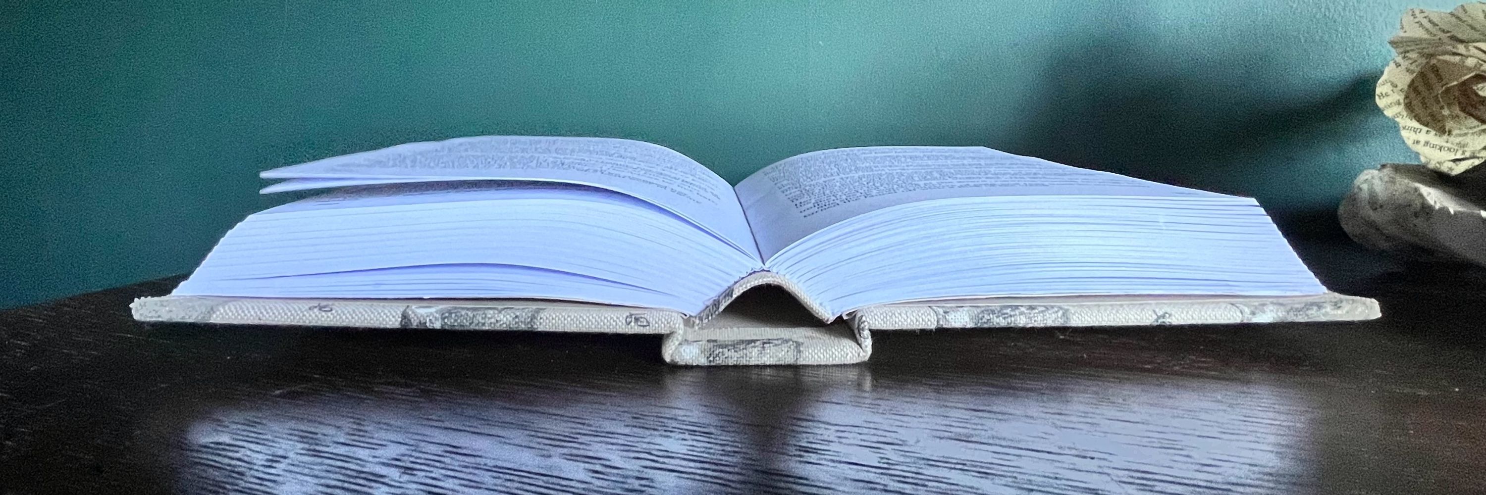 The Librocubicularist
