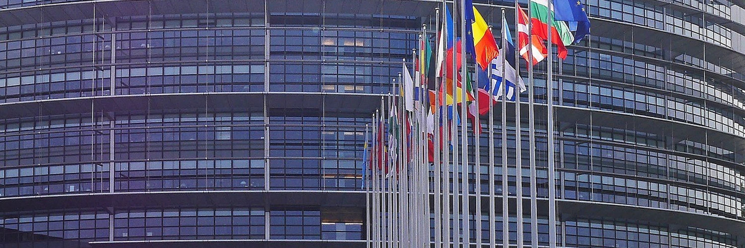Dret Constitucional UPF