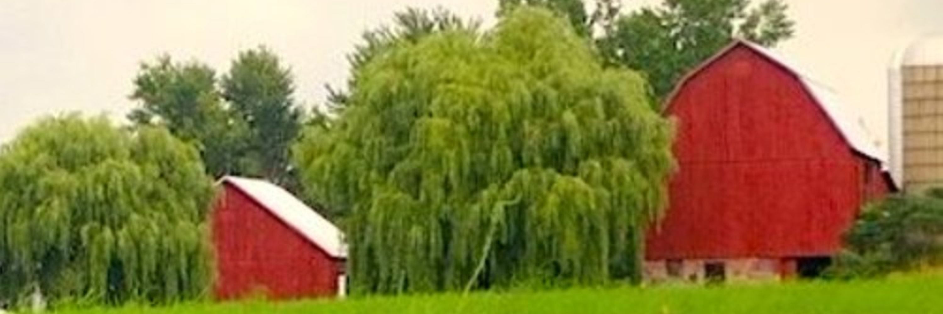 Barn Raiser