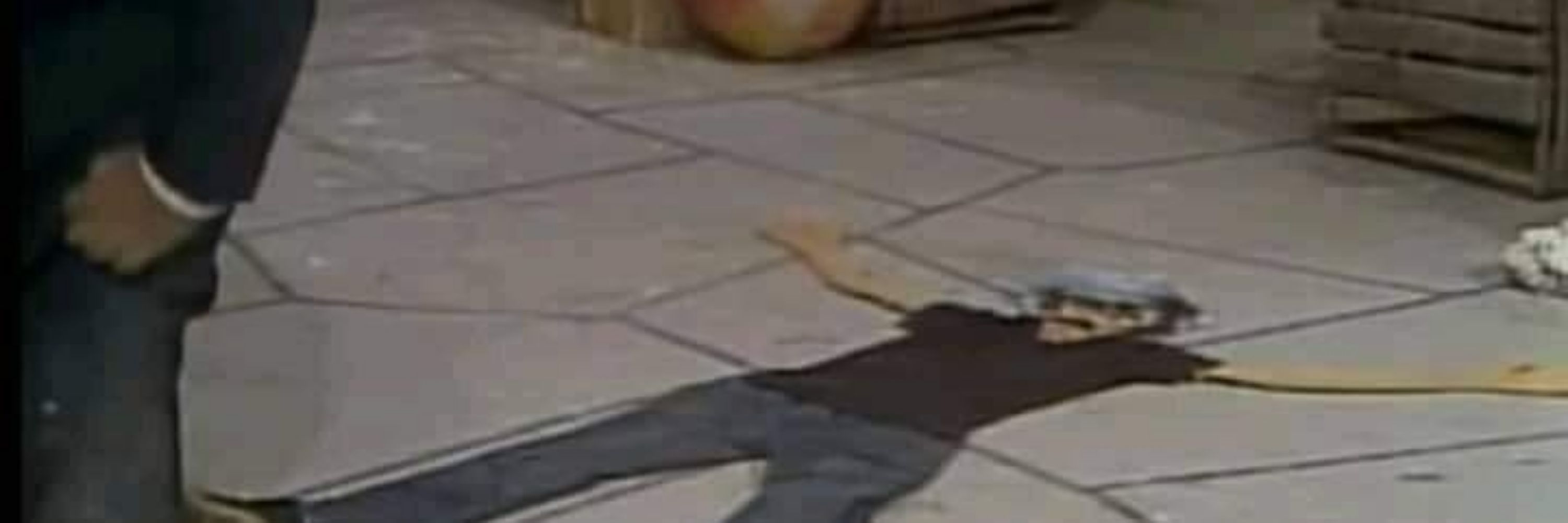 onionzin | Ansioso pra Outubro 