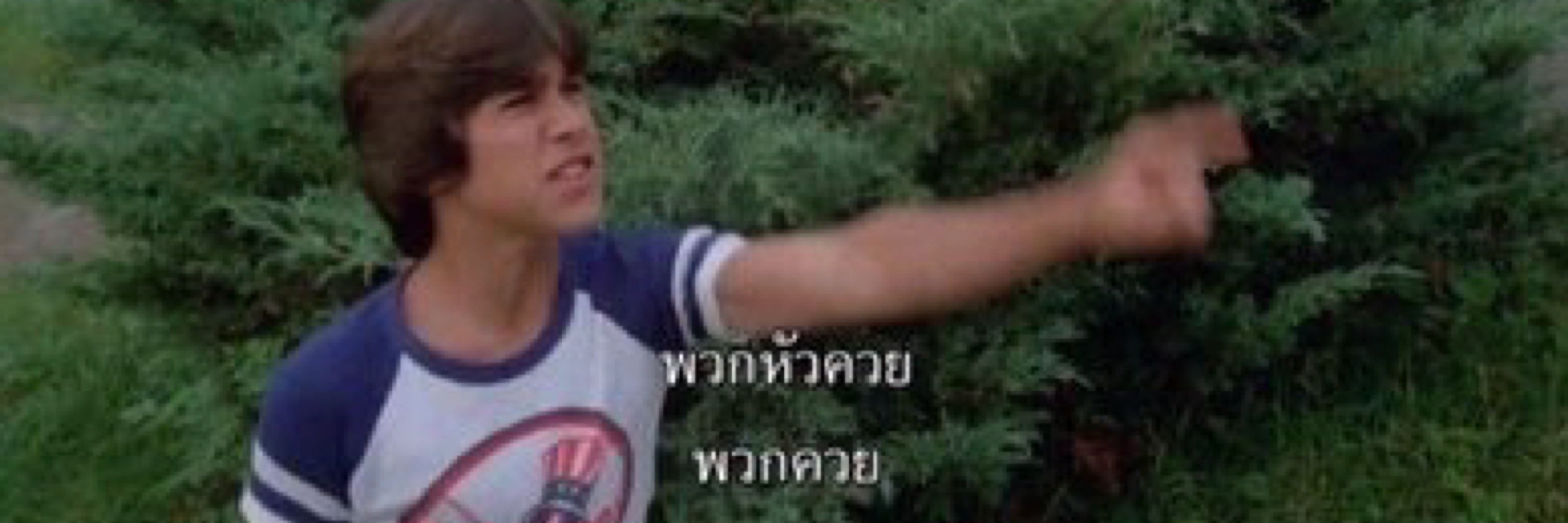 ม๊าว ‎/ᐠﹷ ‸ ﹷ ᐟ\ﾉ