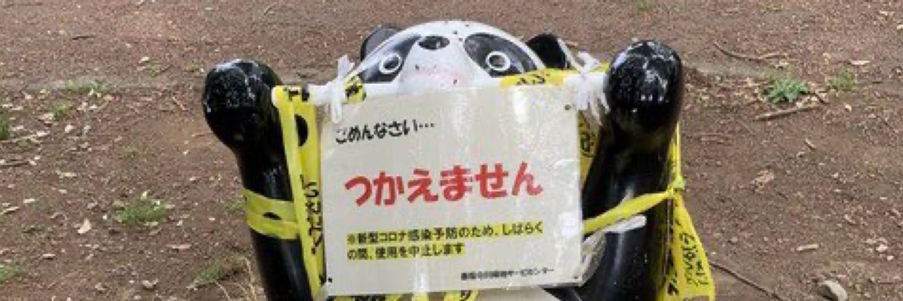 きょ~