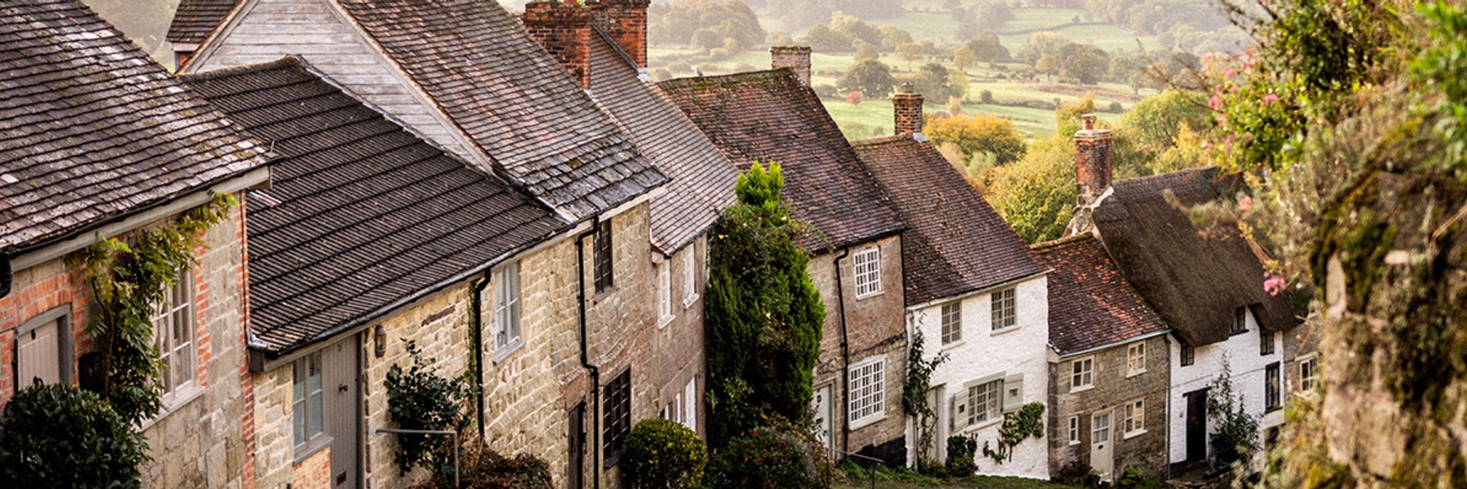 FOLDE Dorset