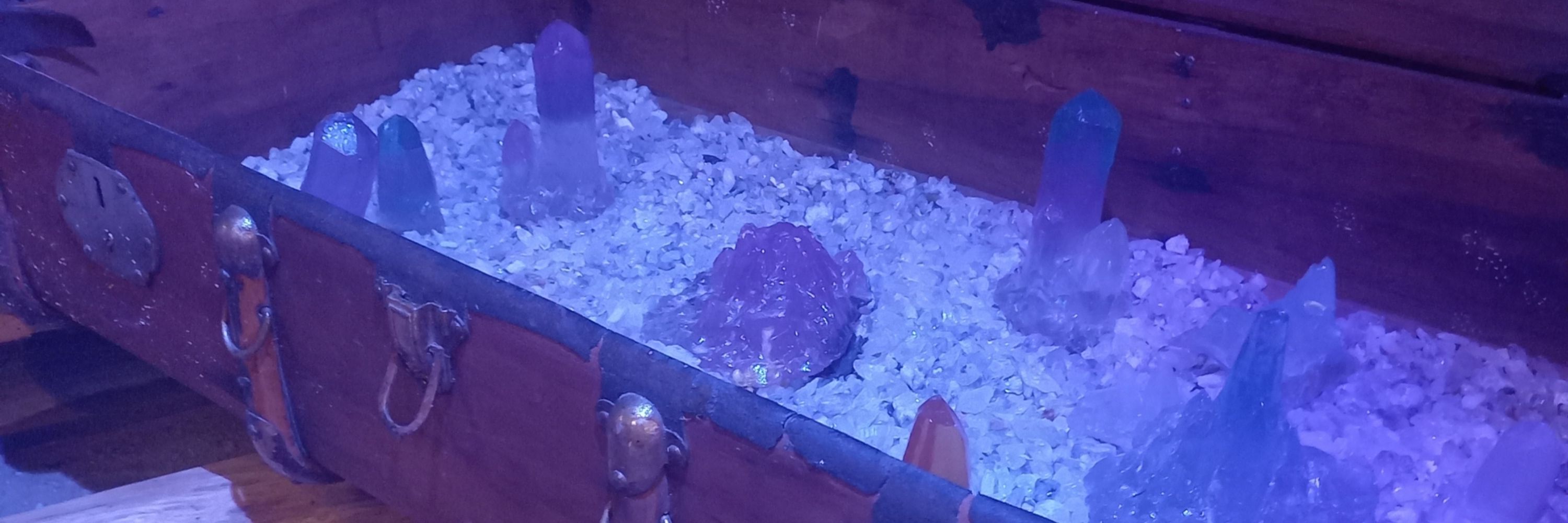 𝕱𝖎𝖉𝖊𝖑 🦞