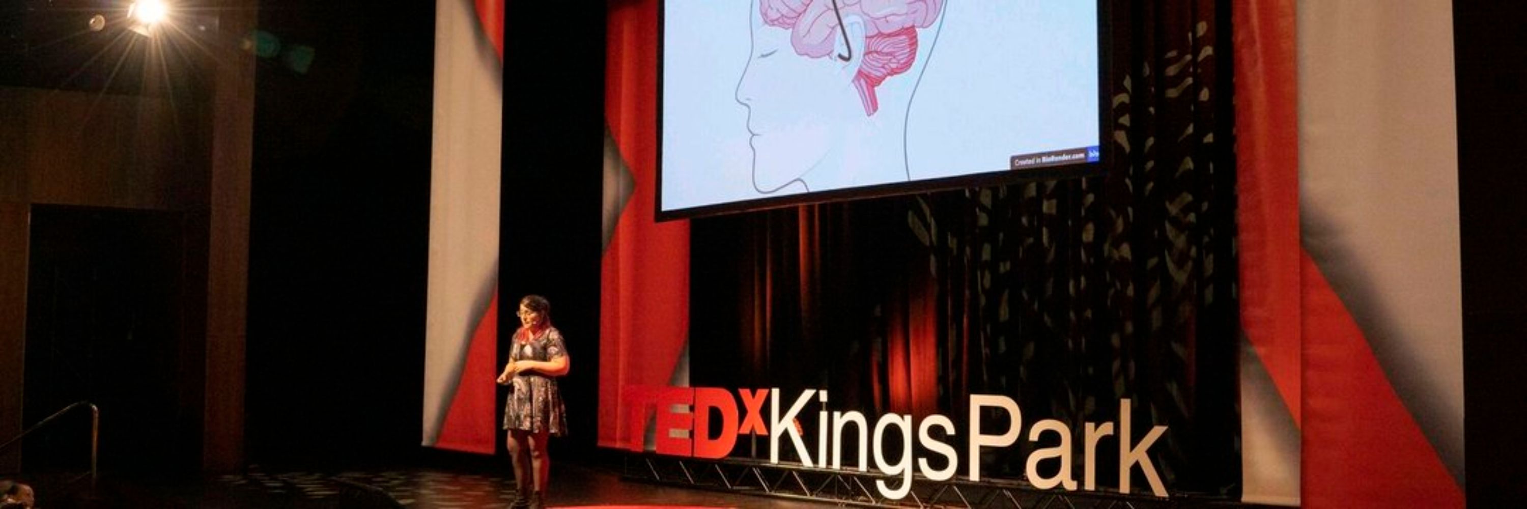 Kristin Barry, PhD 🦻+ 🧠