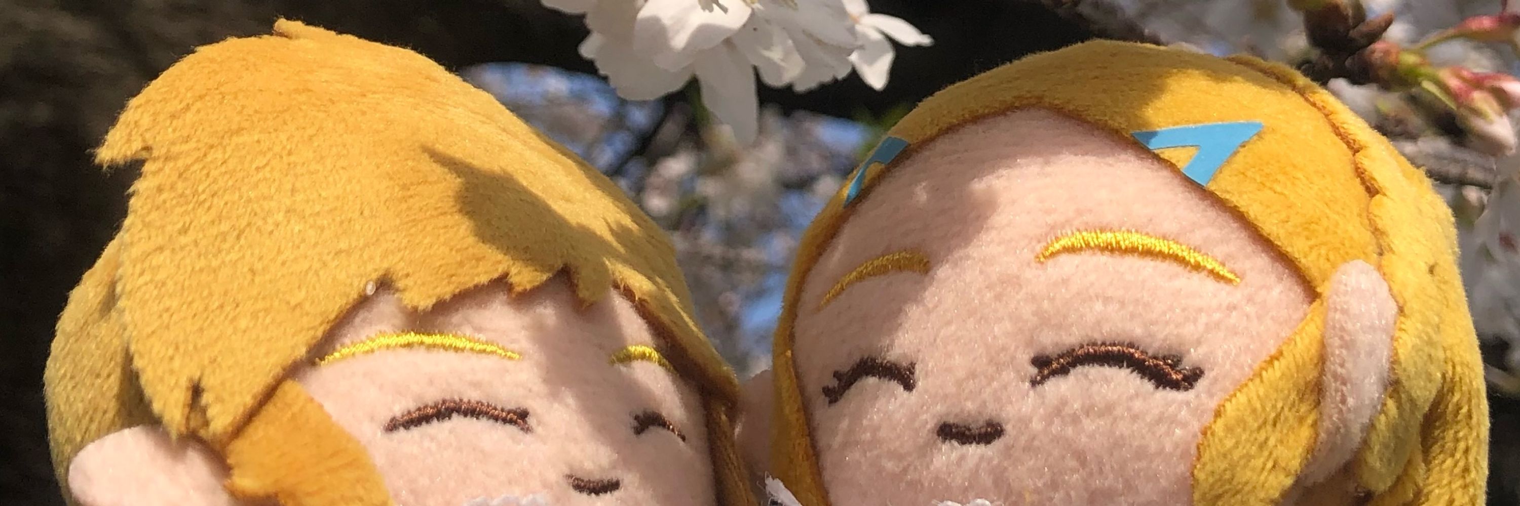 彩野