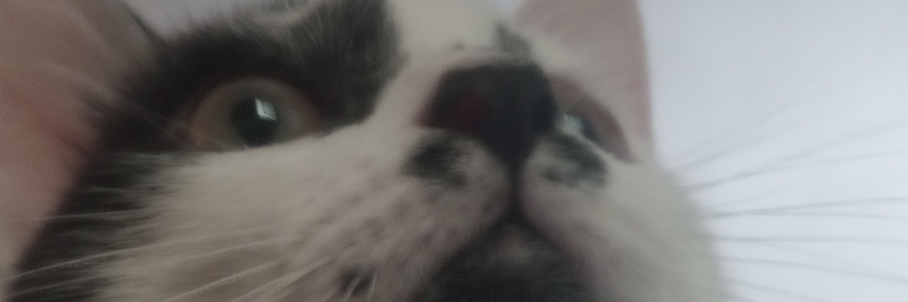 Imfinethanksandryou