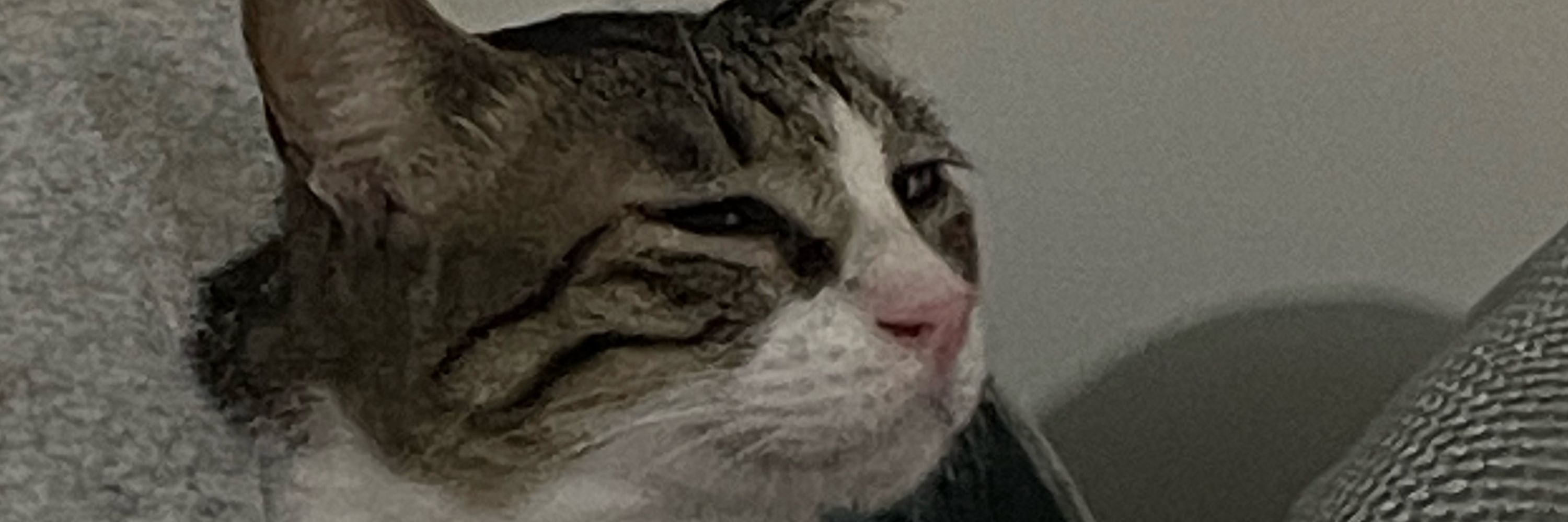 阿牧