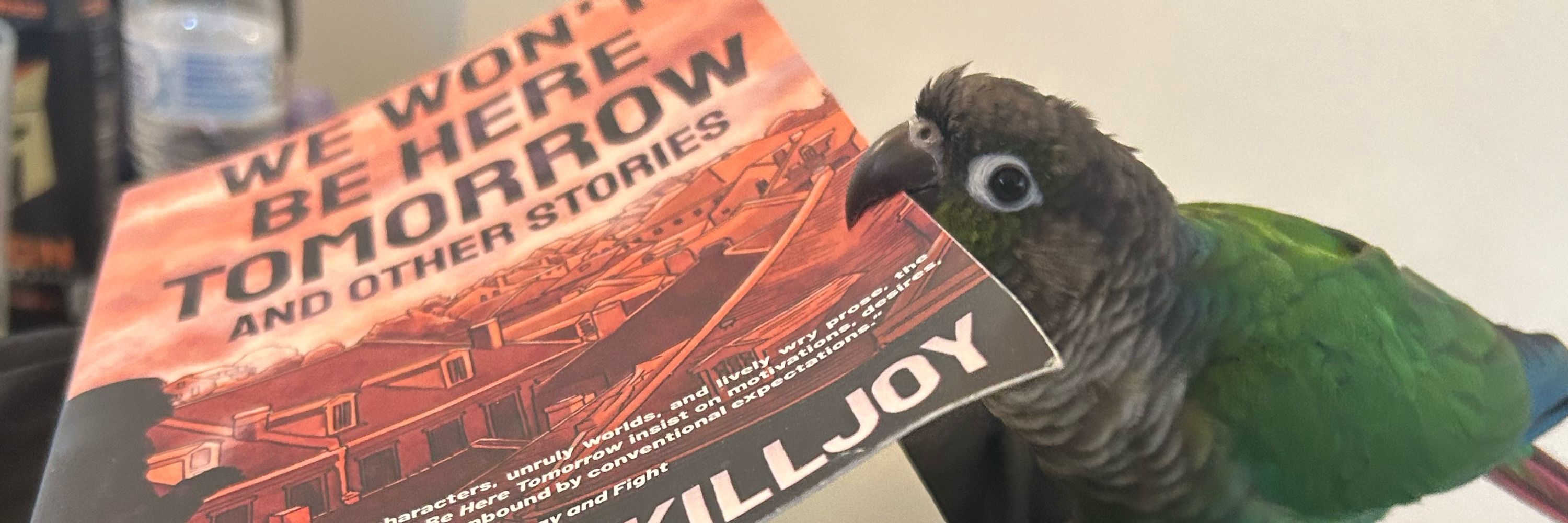 Crow