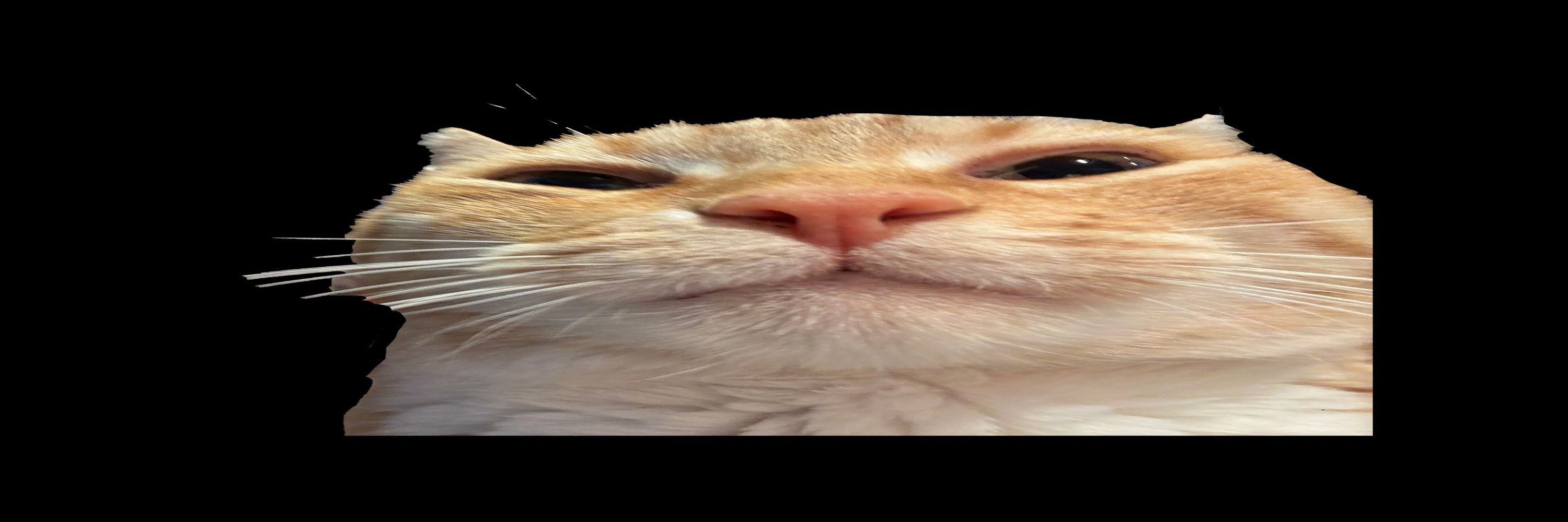 lemme