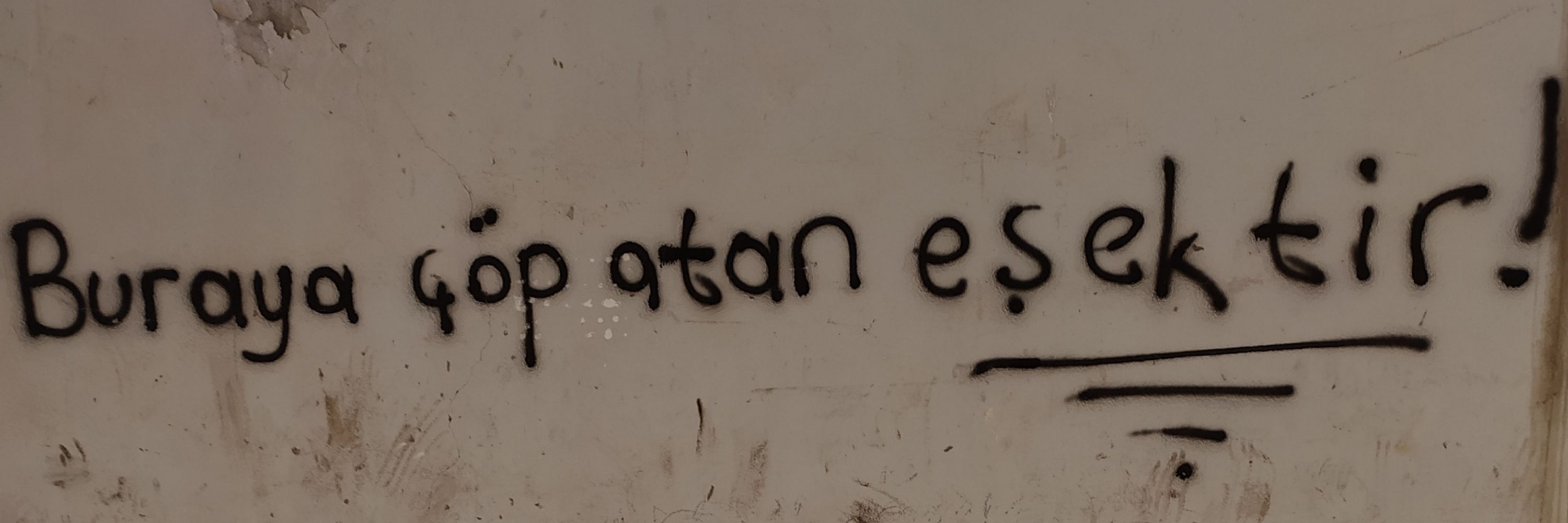 DİYAR