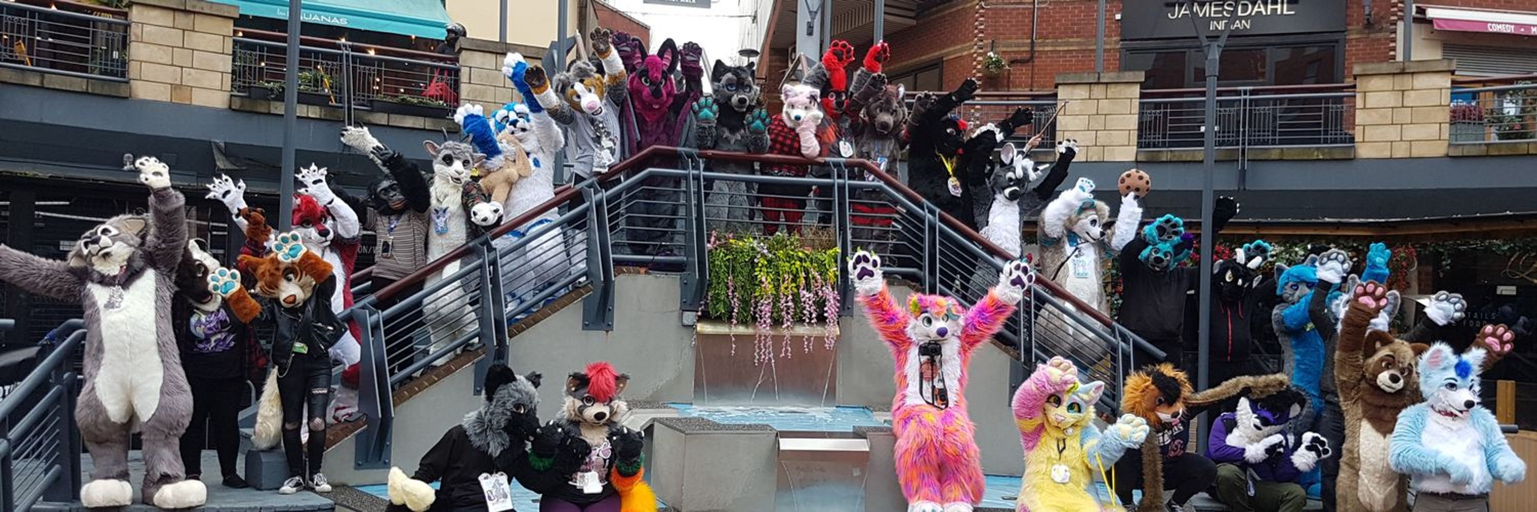 BrumFurs