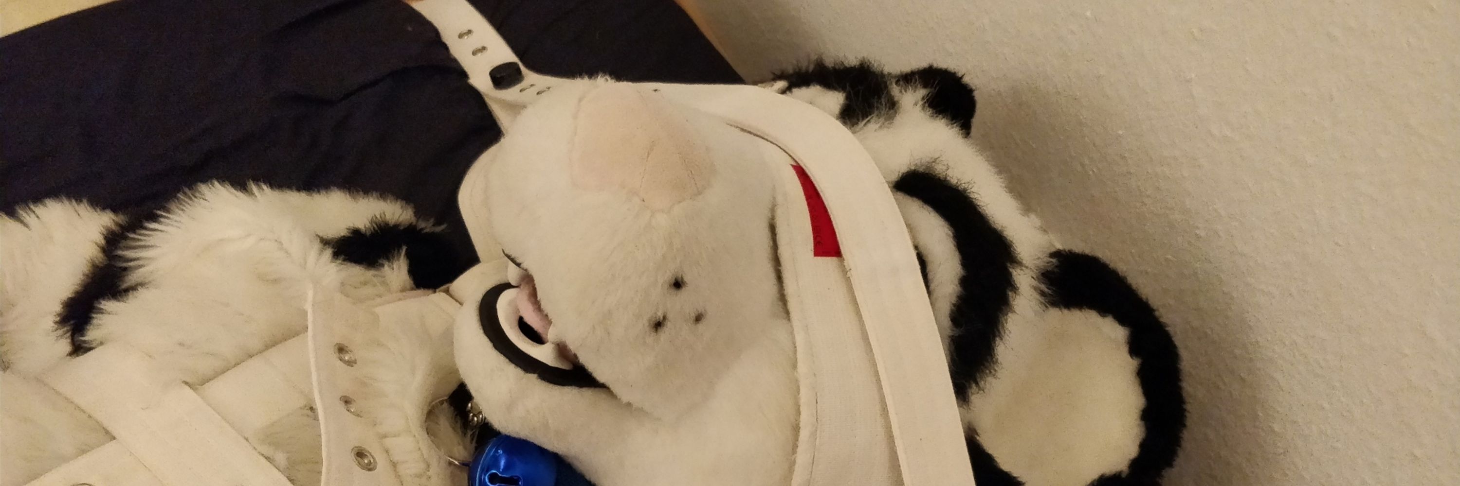 Bound Stripes