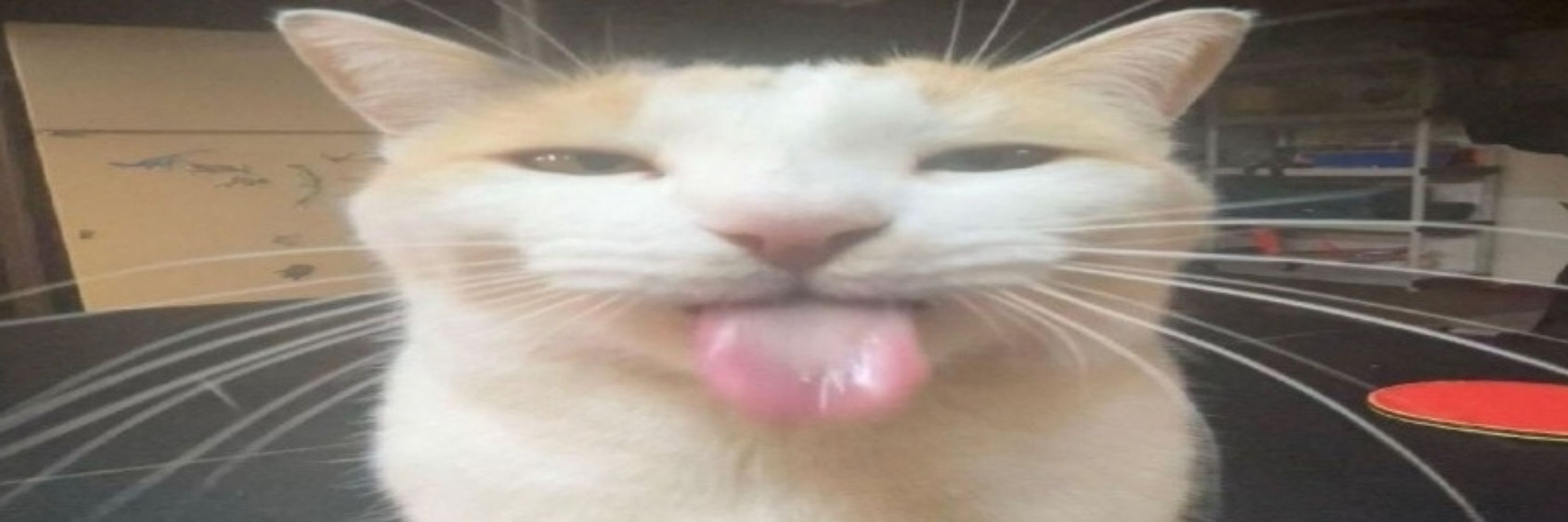 Berry