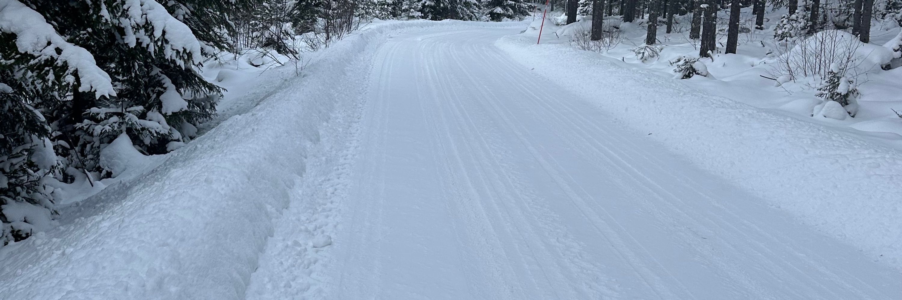 Gäddräparen