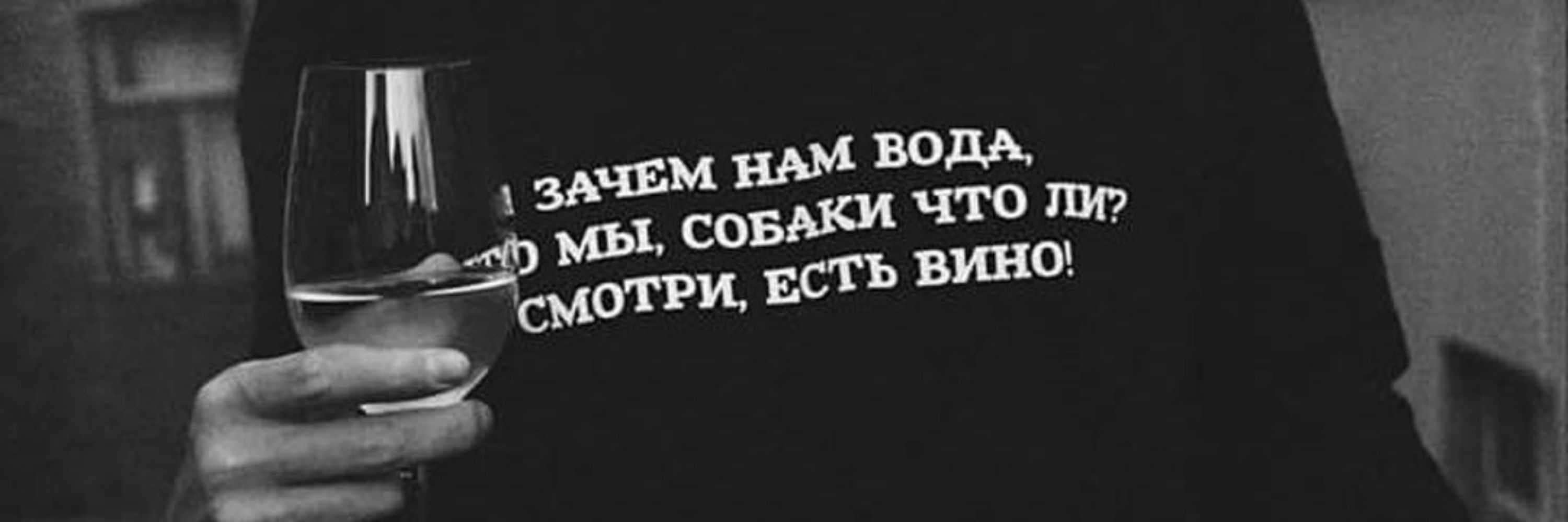 dadadamovich