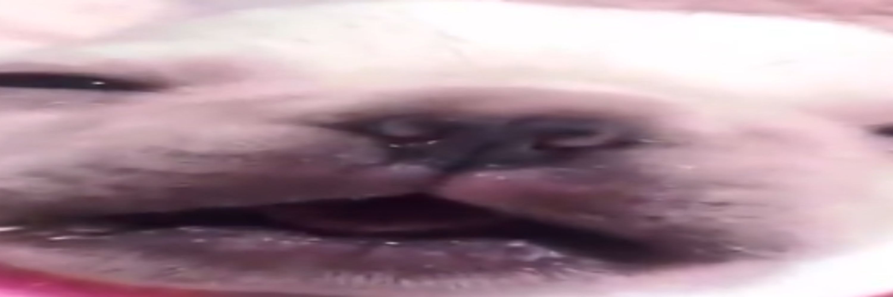 Curgly