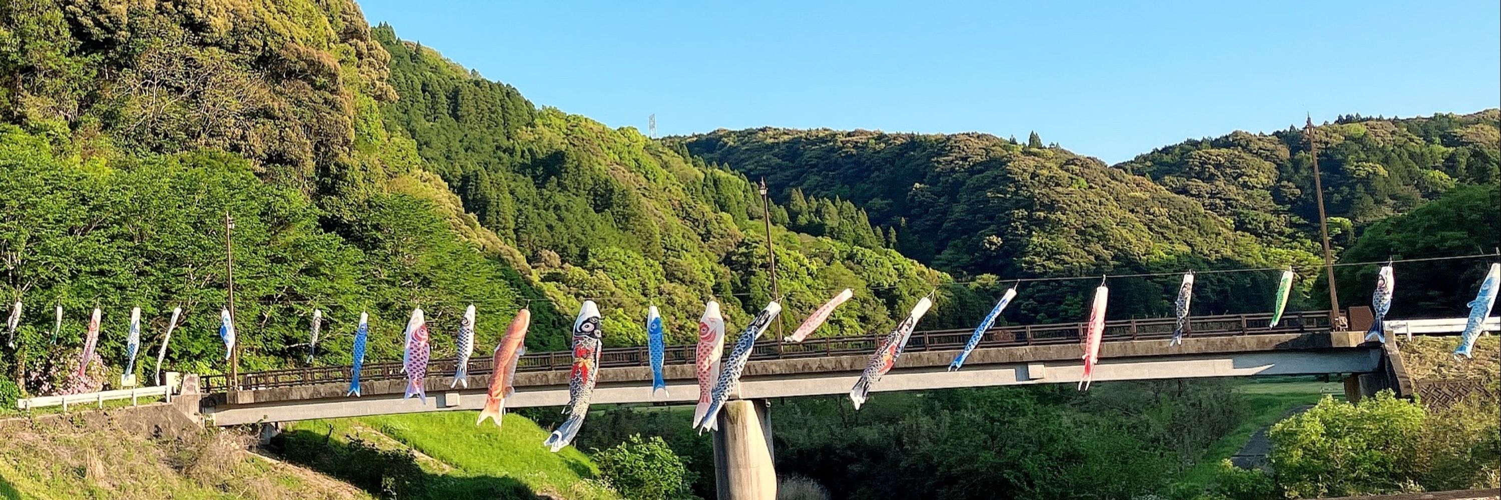 はぎおし