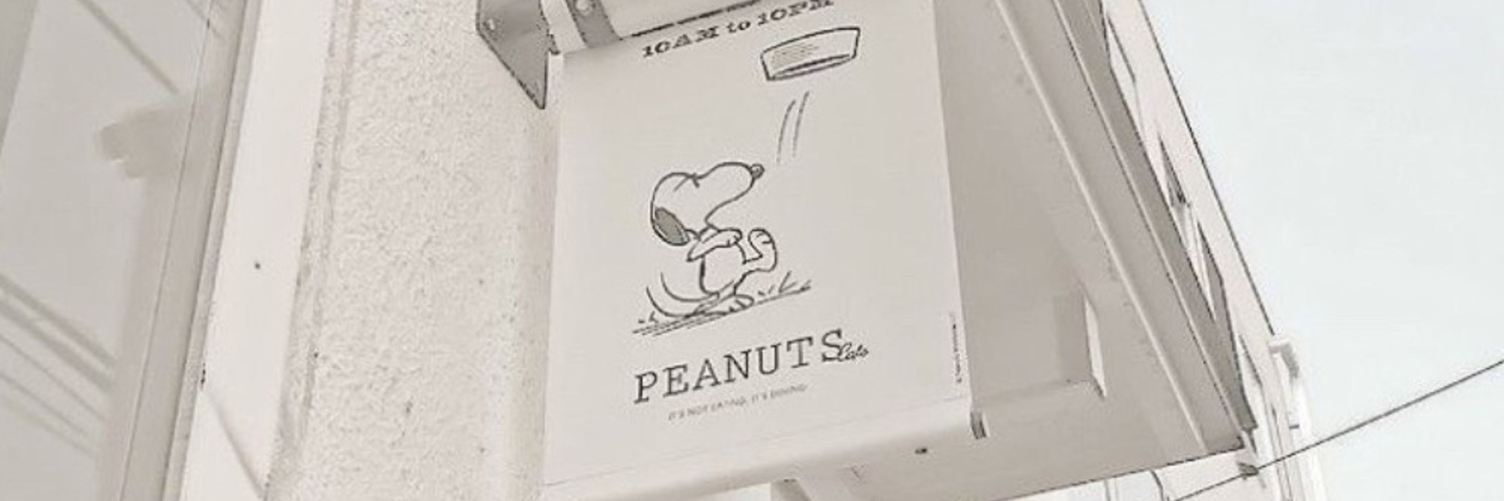 す の 💘