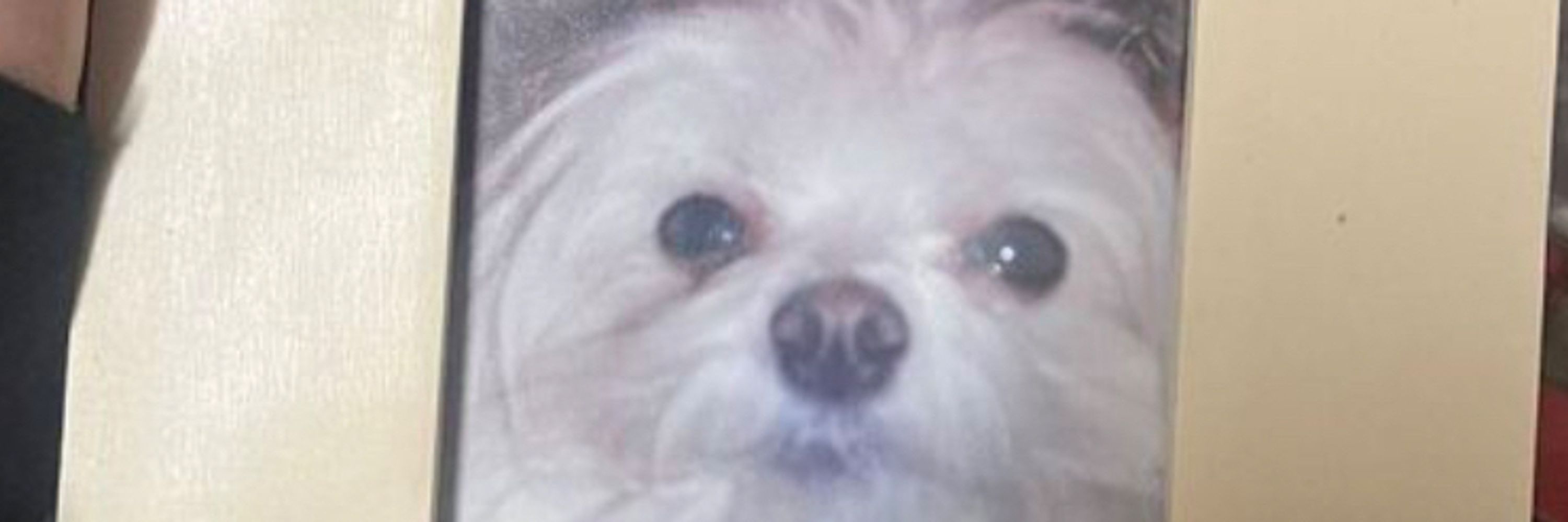 tom