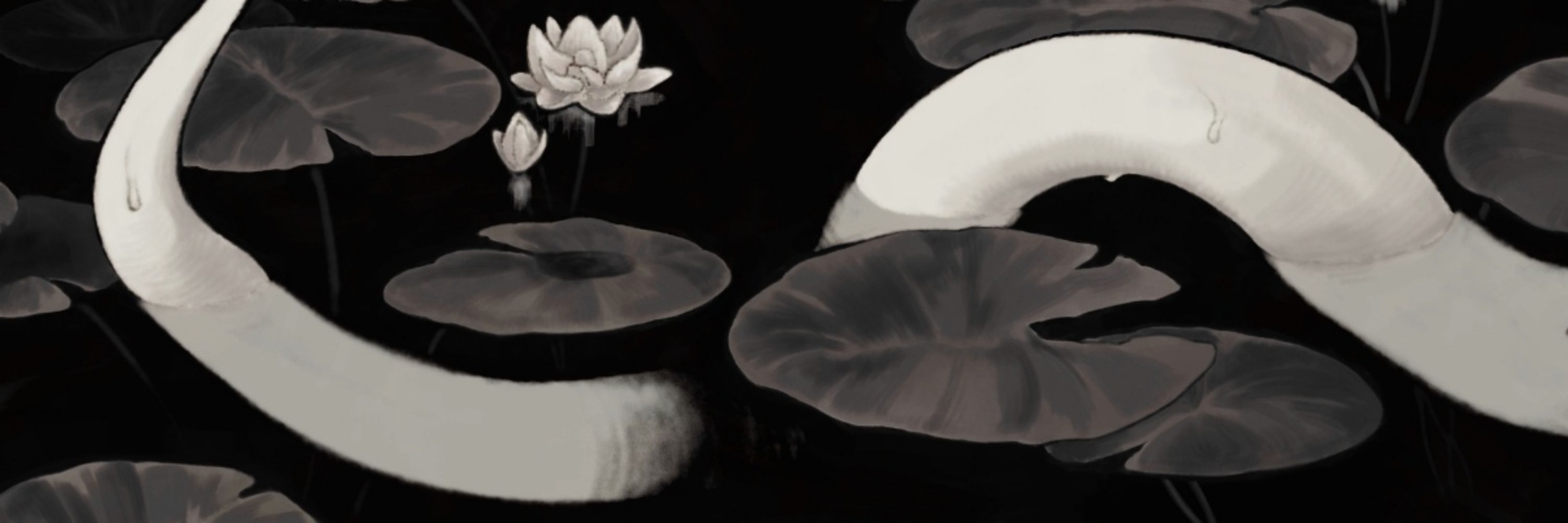 ５Ａ