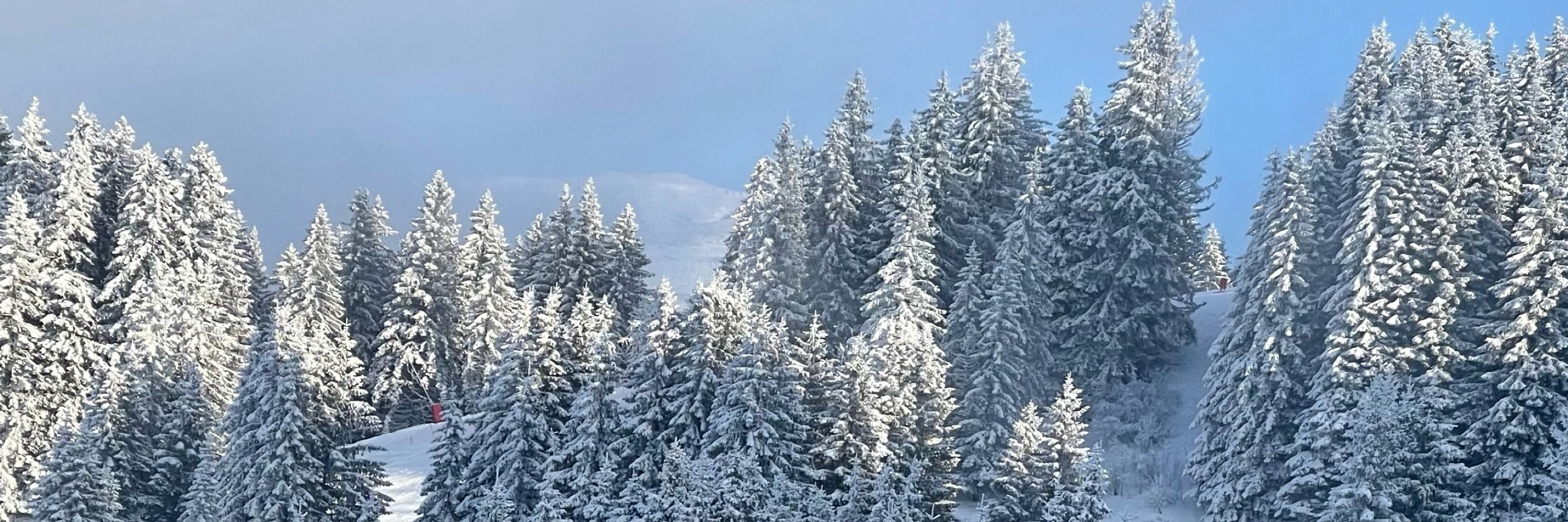 Kingdom Snow