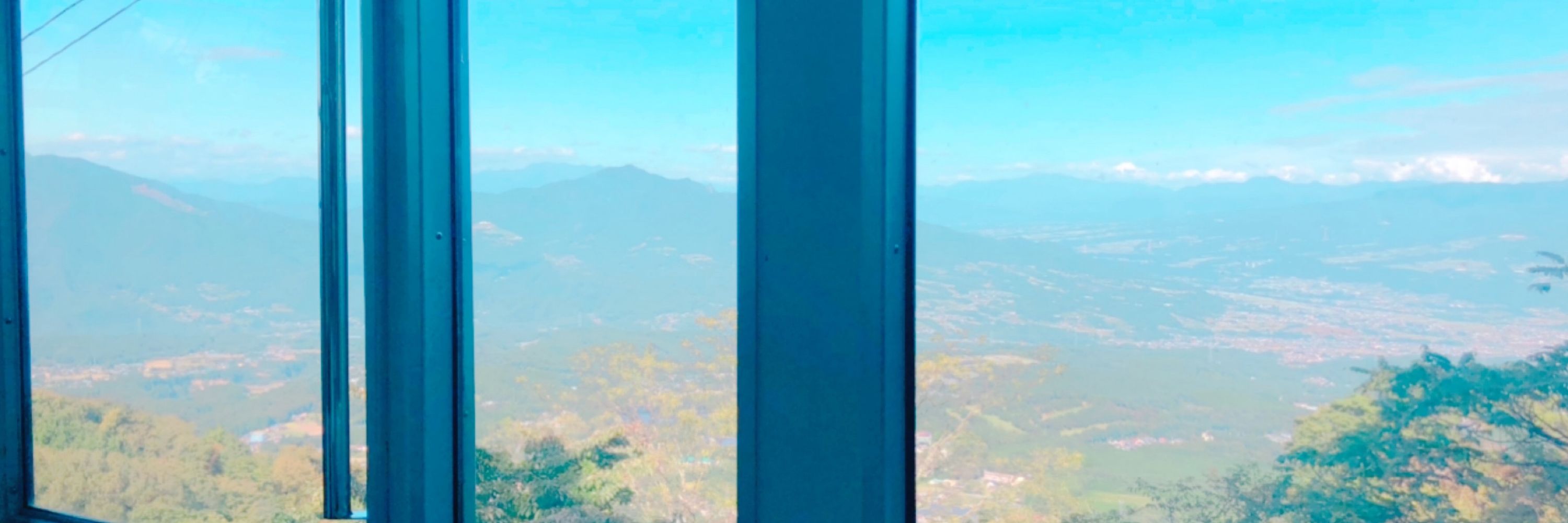 白い某氏