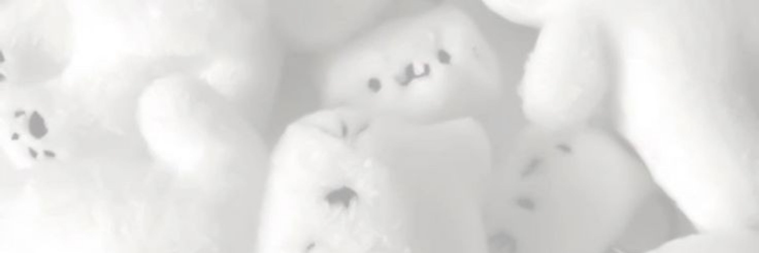 𝐒𝐮𝐰𝐢 𝟓𝟎% 𝐎𝐅𝐅 (𝐍𝐎 𝐏𝐏𝐕 𝐎𝐅) 🏳️‍⚧️